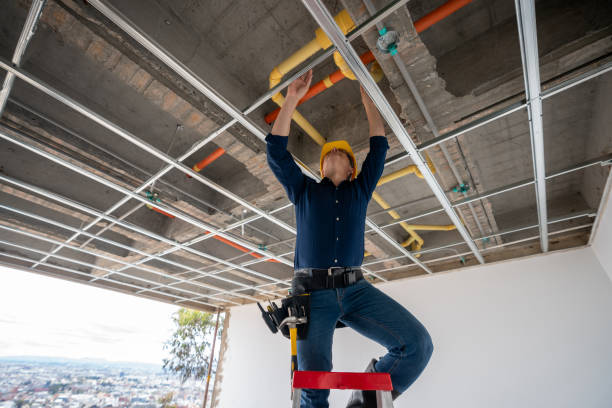 Best Emergency Plumber  in Champlin, MN