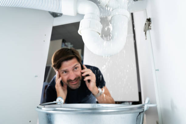 Boilers & Radiators in Champlin, MN