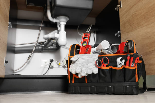 Best Plumbing Inspection Services  in Champlin, MN